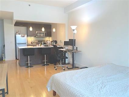 5-09 48th Avenue 6-D Long Island City Queens NY 11101