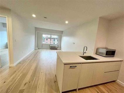555 Waverly Avenue 4-H Clinton Hill Brooklyn NY 11238