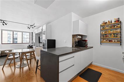 4-74 48th Avenue 28-E Hunters Point Queens NY 11109