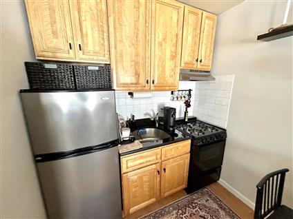 5-49 47th Avenue 3-R Long Island City Queens NY 11101