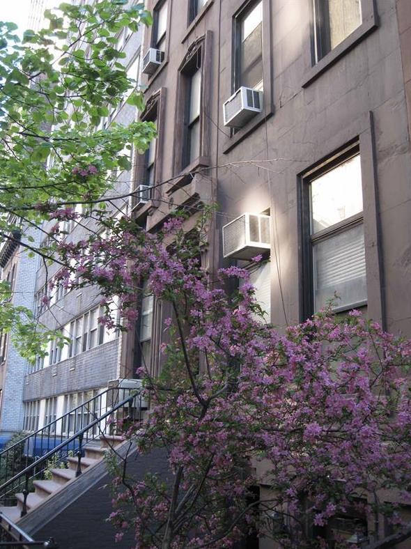 144 East 37th Street Midtown East New York NY 10016