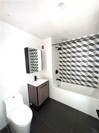 323 East 19th Street 4-A Ditmas Park Brooklyn NY 11226