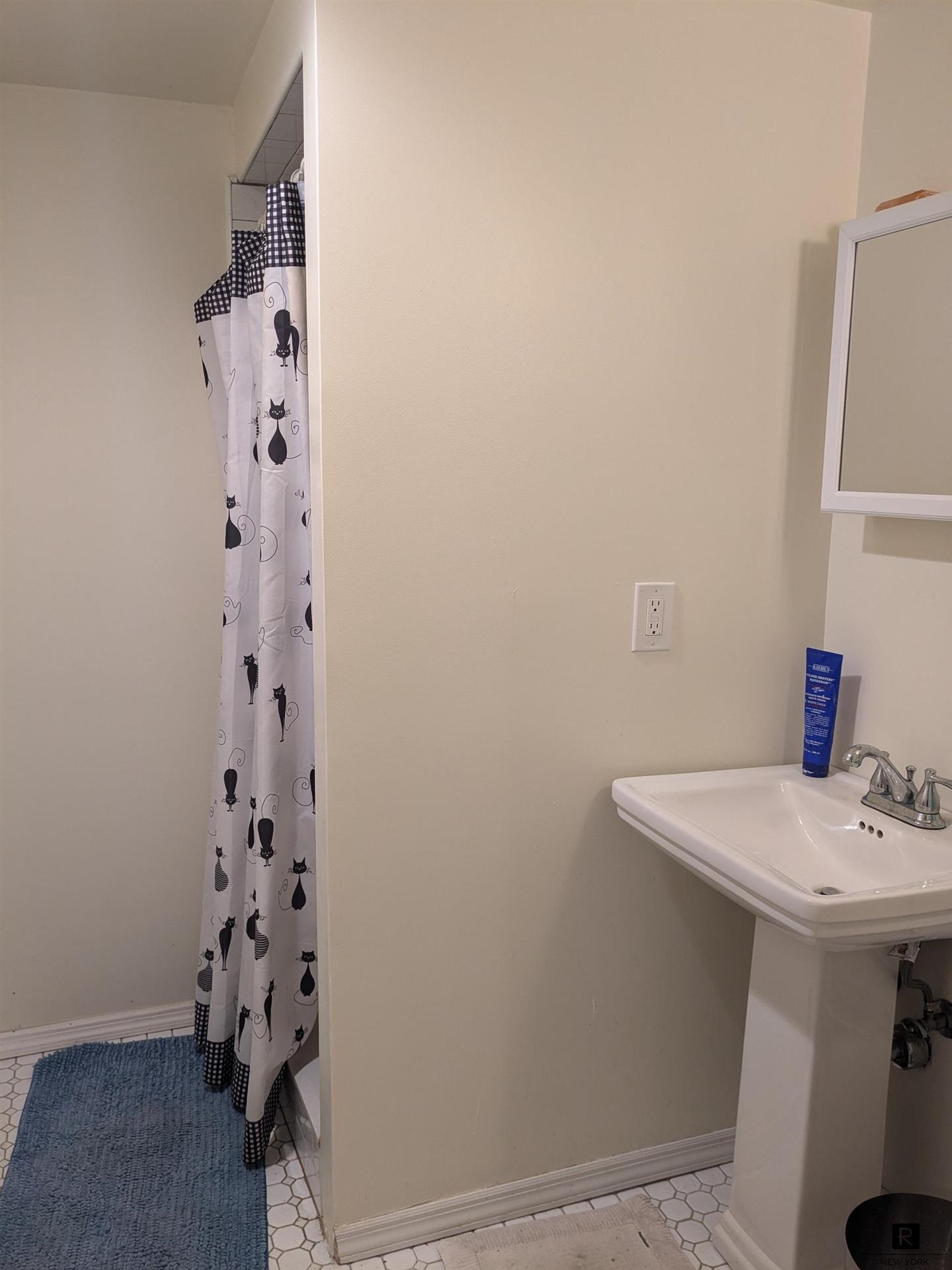 434 Saint Marks Avenue Prospect Heights Brooklyn NY 11238