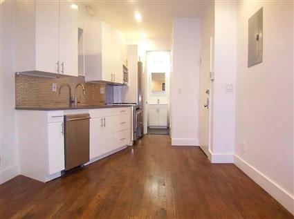 442 Tenth Avenue 3-RS Clinton New York NY 10001
