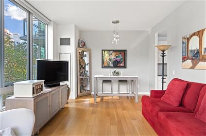 46-30 Center Blvd. 203 Long Island City Queens NY 11109