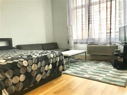 2-26 50th Avenue 4-J Long Island City Queens NY 11101