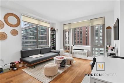 44-15 Purves Street 14-D Long Island City Queens NY 11101