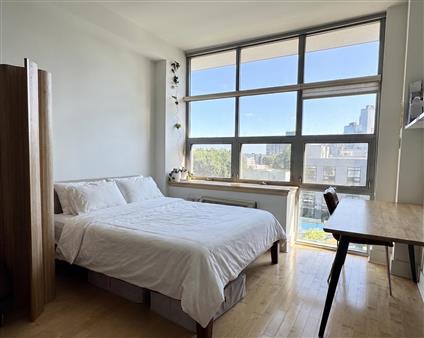 5-09 48th Avenue 6-D Long Island City Queens NY 11101