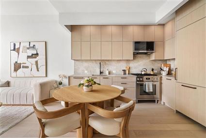 445 5th Avenue 3-F Park Slope Brooklyn NY 11215