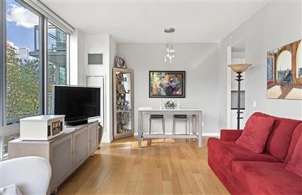 46-30 Center Blvd. 203 Long Island City Queens NY 11109