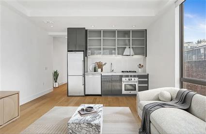 44-15 Purves Street 9-D Long Island City Queens NY 11101