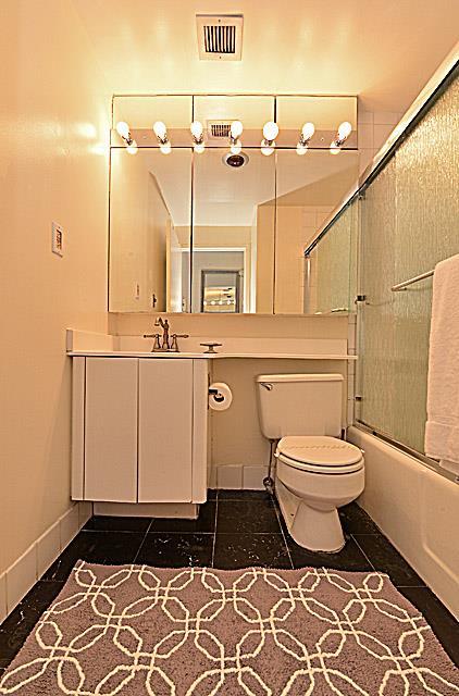 Newly Renovated Furnished 1 Bedroom in the Heart of Manhattan