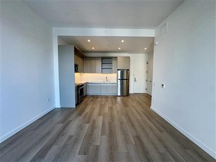 29-17 40th Avenue 814 Long Island City Queens NY 11101