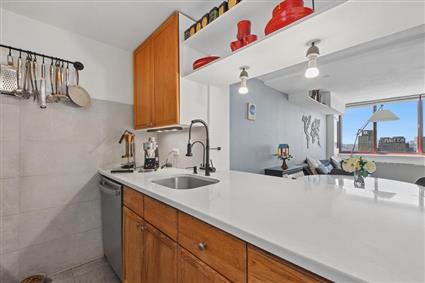 4-74 48th Avenue PH1H Hunters Point Queens NY 11109