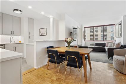 4-74 48th Avenue 7-E Hunters Point Queens NY 11109