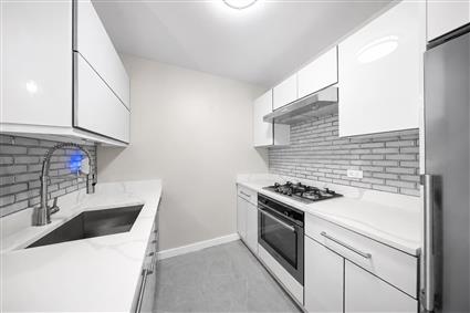 4-74 48th Avenue 35E Hunters Point Queens NY 11109