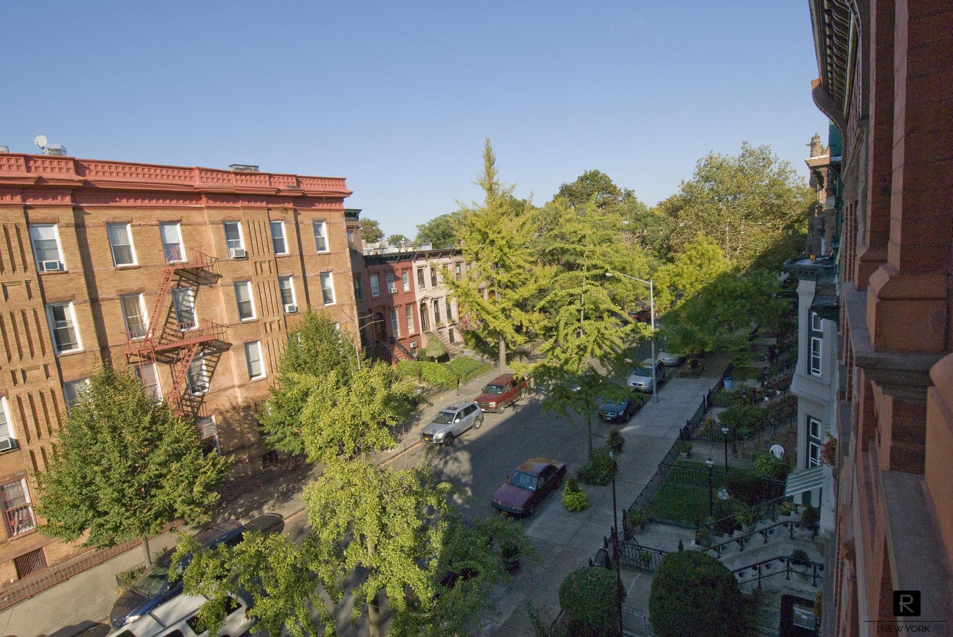393 Lewis Avenue Stuyvesant Heights Brooklyn NY 11233