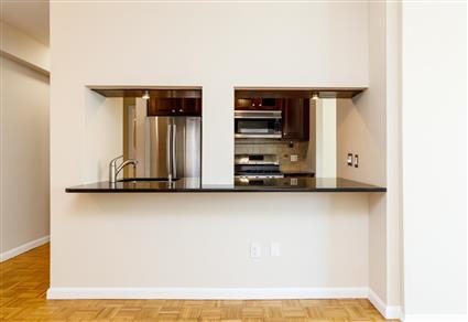 4-74 48th Avenue 15C Hunters Point Queens NY 11109