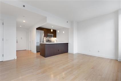 5-09 48th Avenue 3-H Long Island City Queens NY 11101