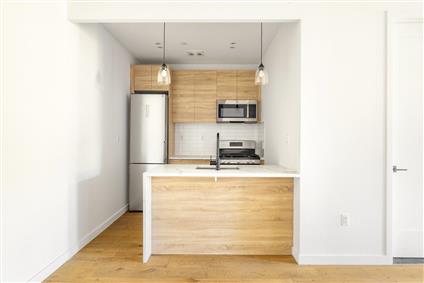 750 MacDonough Street 5 Ocean Hill Brooklyn NY 11233