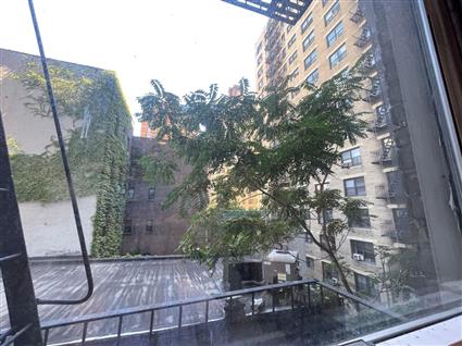 442 Tenth Avenue 4RS Clinton New York NY 10001