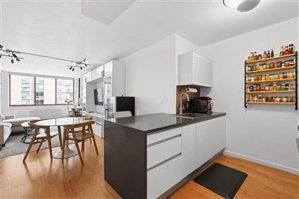 4-74 48th Avenue 28-E Hunters Point Queens NY 11109