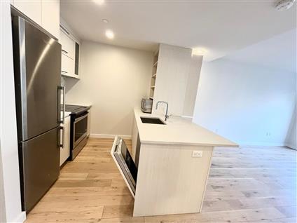 555 Waverly Avenue 3-G Clinton Hill Brooklyn NY 11238