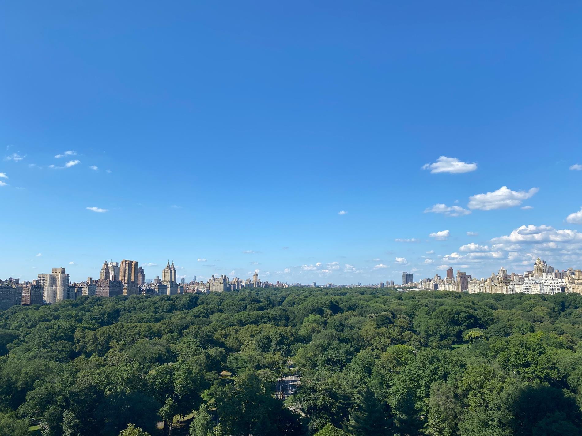 116 Central Park South Central Park South New York NY 10019