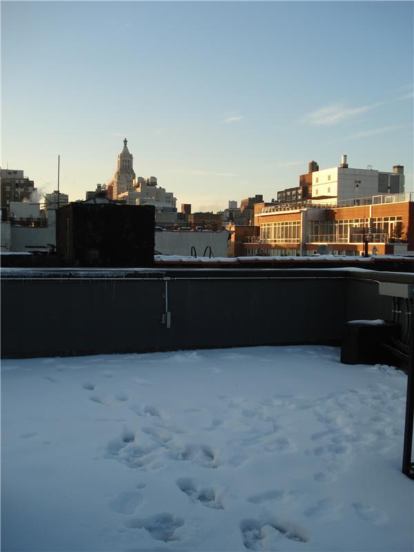 East Village 7 bedrooms with a private roof deck