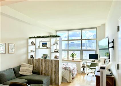5-09 48th Avenue 6-D Long Island City Queens NY 11101