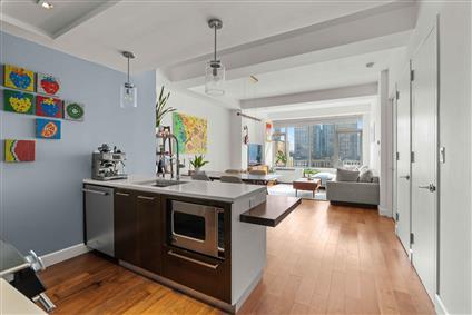 2-17 51st Avenue 1007 Long Island City Queens NY 11101