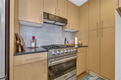 48-15 11th Street 2-G Long Island City Queens NY 11101