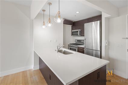 5-09 48th Avenue 2-C Long Island City Queens NY 11101