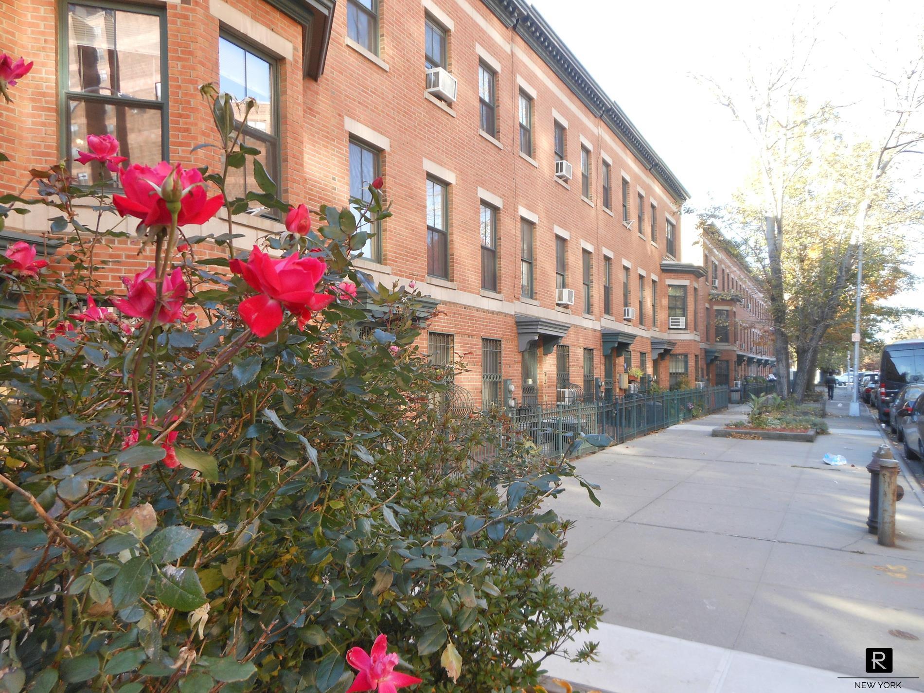 440 Carlton Avenue Prospect Heights Brooklyn NY 11238