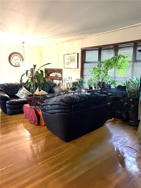 482 Steuben Street Grasmere Staten Island NY 10305