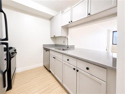 4-74 48th Avenue 30-J Hunters Point Queens NY 11109