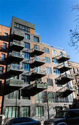 323 East 19th Street 3-E Ditmas Park Brooklyn NY 11226