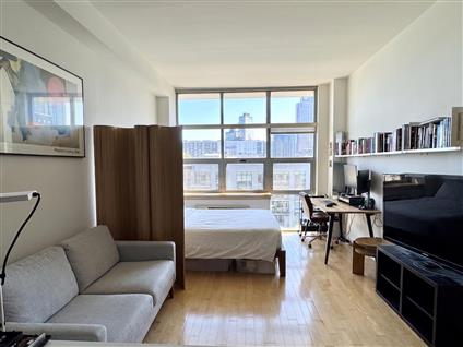 5-09 48th Avenue 6-D Long Island City Queens NY 11101