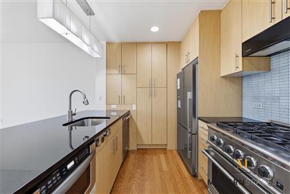 5-49 Borden Avenue 3-H Hunters Point Queens NY 11101