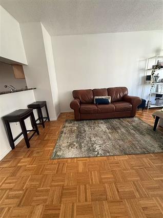 4-74 48th Avenue 4-L Hunters Point Queens NY 11109