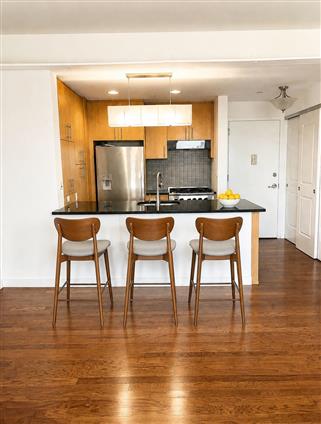 5-49 Borden Avenue 6-N Hunters Point Queens NY 11101