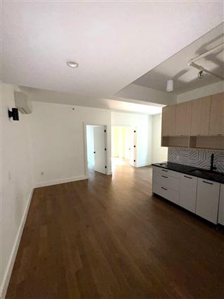323 East 19th Street 4-A Ditmas Park Brooklyn NY 11226