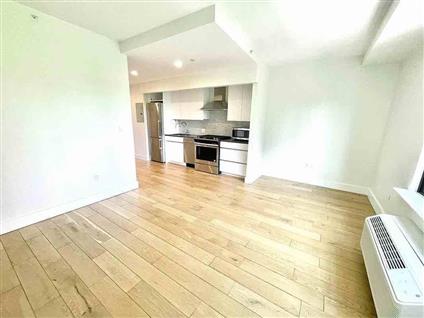 504 Myrtle Avenue 8-W Clinton Hill Brooklyn NY 11205