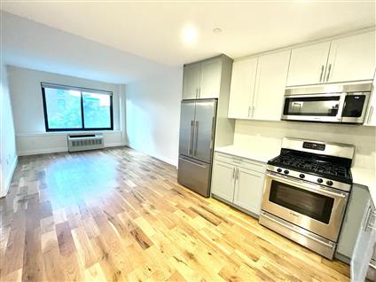 490 Myrtle Avenue 2M Clinton Hill Brooklyn NY 11205