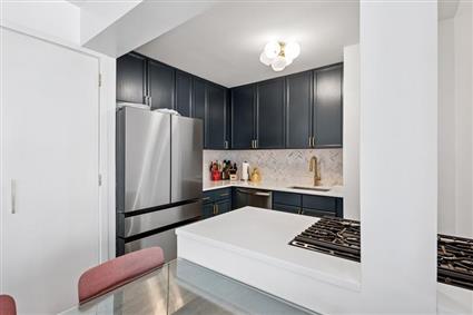4-74 48th Avenue 21-E Hunters Point Queens NY 11109