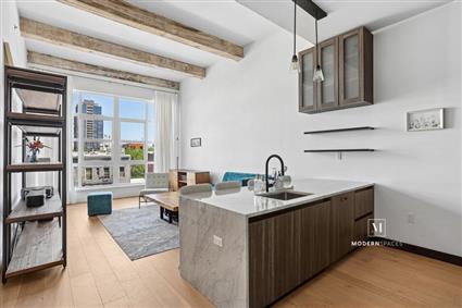 5-33 48th Avenue 3-C Long Island City Queens NY 11101