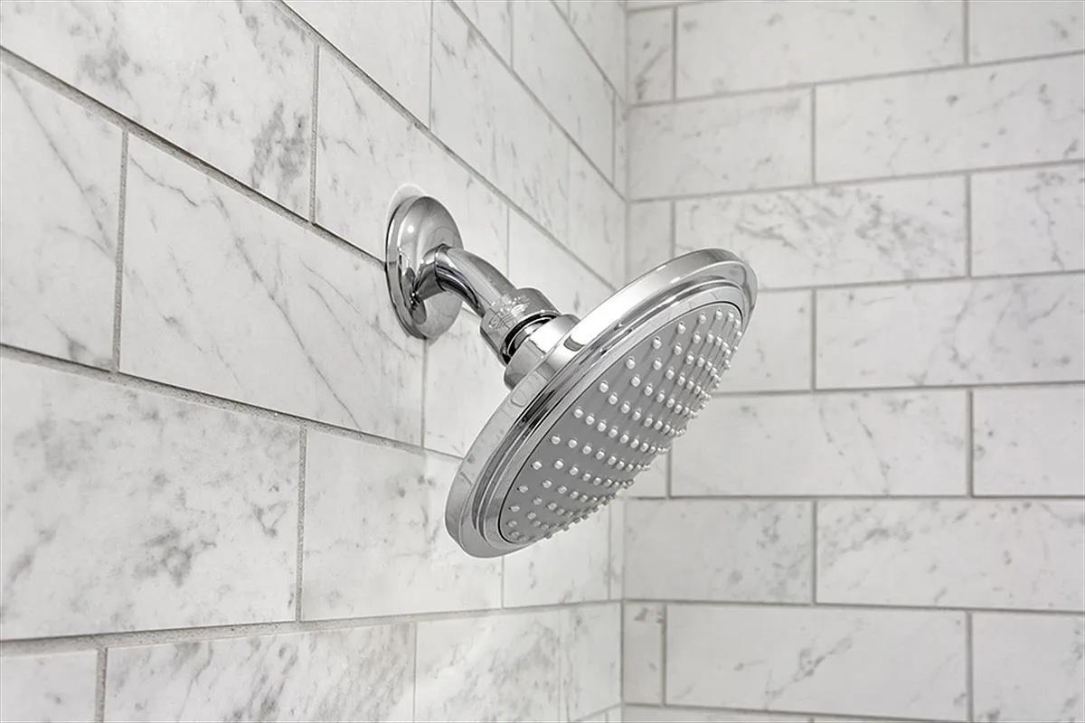 555 Waverly Avenue 8-E Clinton Hill Brooklyn NY 11238