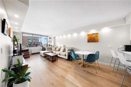 4-74 48th Avenue 35E Hunters Point Queens NY 11109