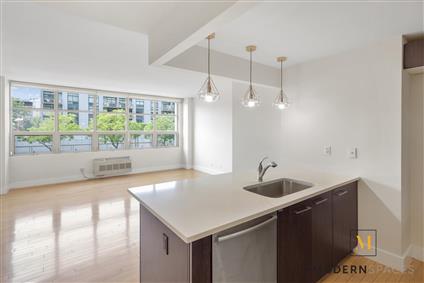 5-09 48th Avenue 2-C Long Island City Queens NY 11101