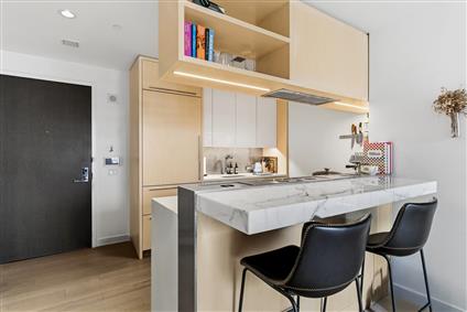 252 South Street 18B Lower East Side New York NY 10002